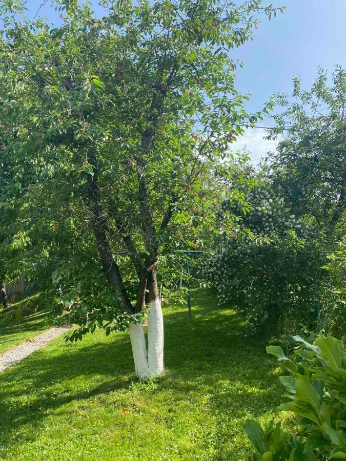 סראייבו Villa Anni מראה חיצוני תמונה